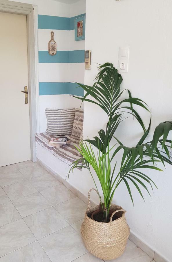 Mesogitonia House Apartment Zakros Ngoại thất bức ảnh